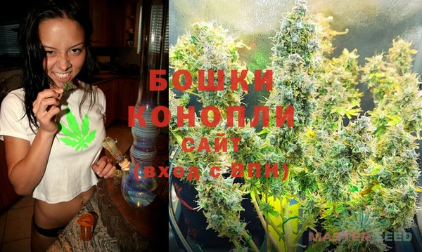 марихуана Заводоуковск