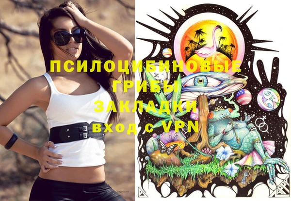 марихуана Заводоуковск