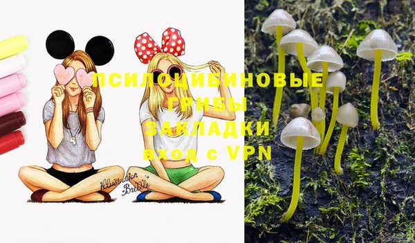 марихуана Заводоуковск