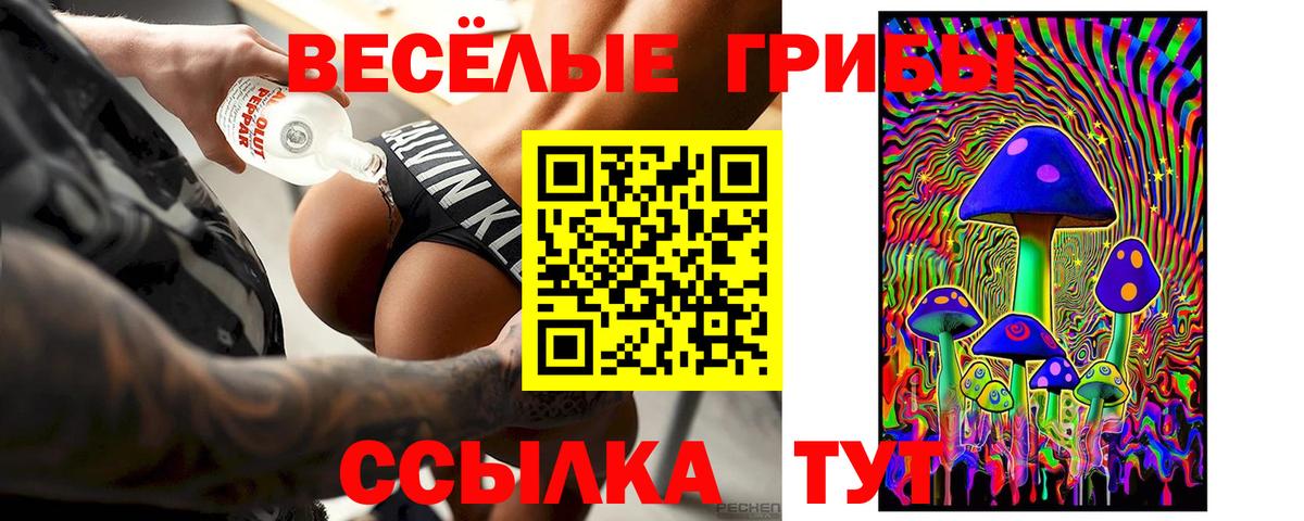 даркнет сайт  Вход с VPN  Галлюциногенные грибы GOLDEN TEACHER  Избербаш  Галлюциногенные грибы Psilocybe 